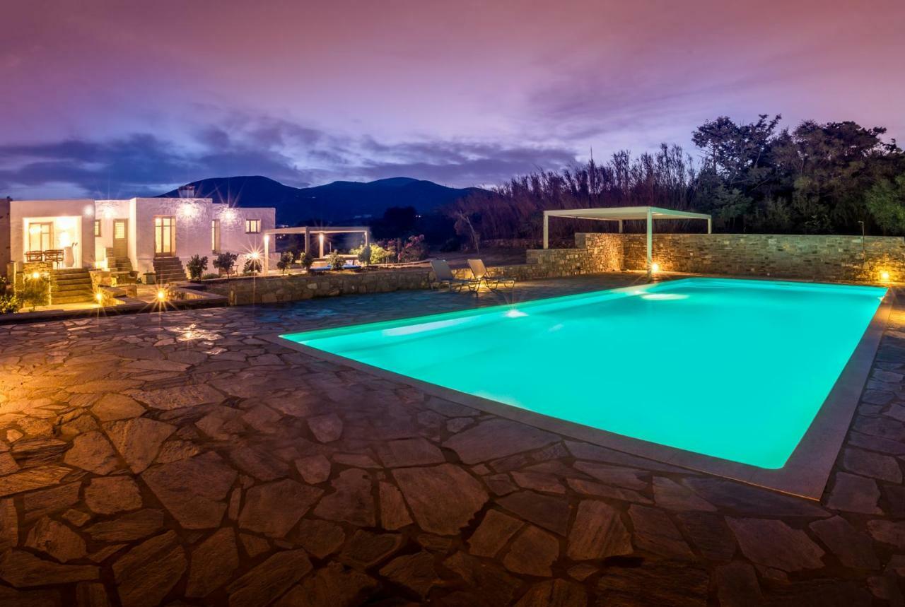 Kallirroe Deluxe Villa With Sea View And Pool Chrisi Akti  Exterior photo